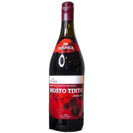 Peñasol Red Grape Juice 1L