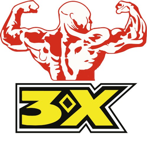 3X Energy