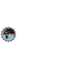 Innoson Group of Companies Ltd